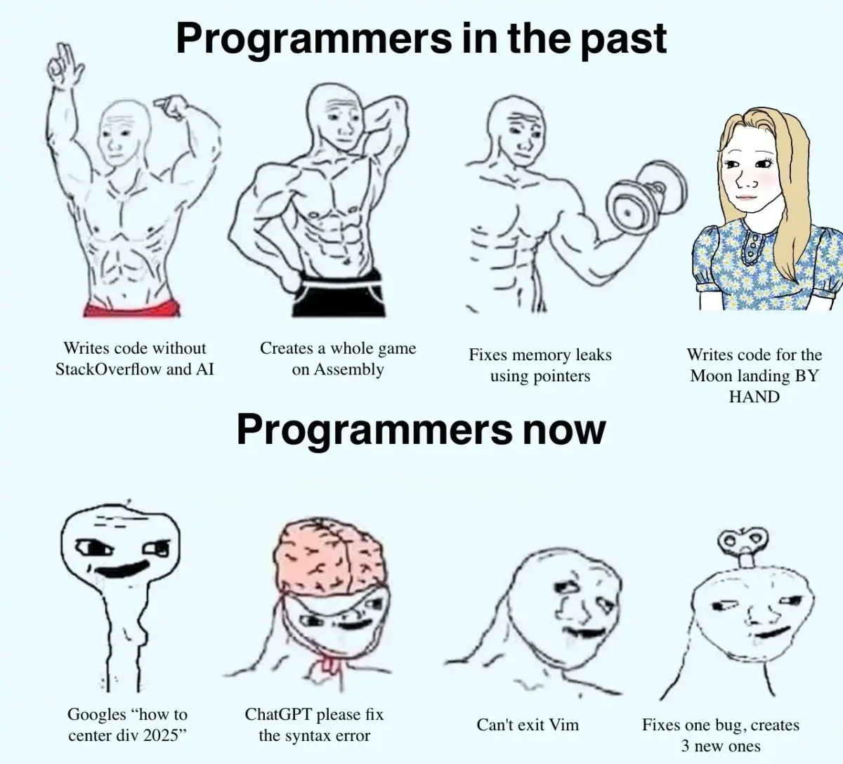 vibe coding websites meme